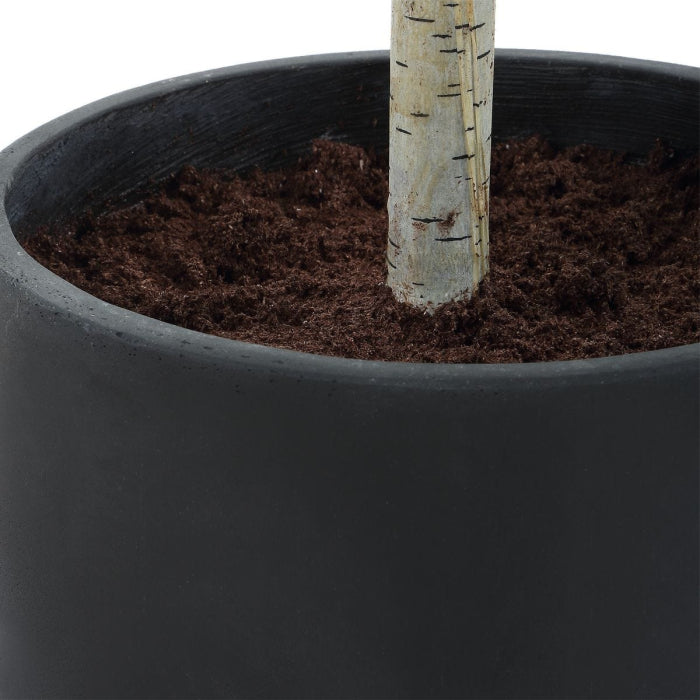 Uttermost Boreal Potted Birch Tree