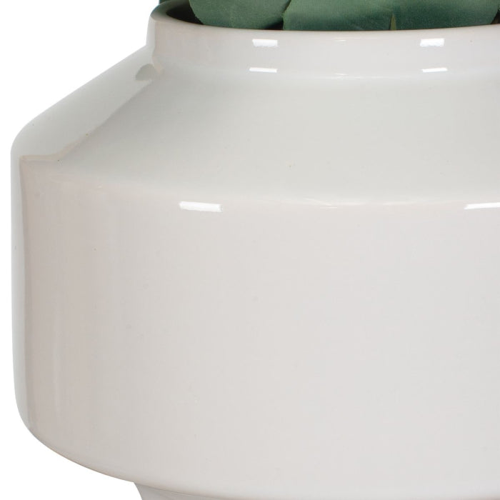 Uttermost Essence Eucalyptus Accent and Vase