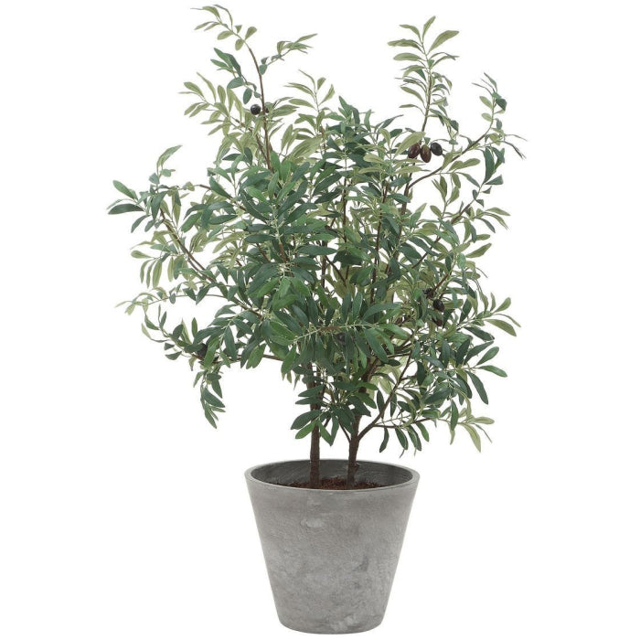 Uttermost Marisol Potted Olive Plant