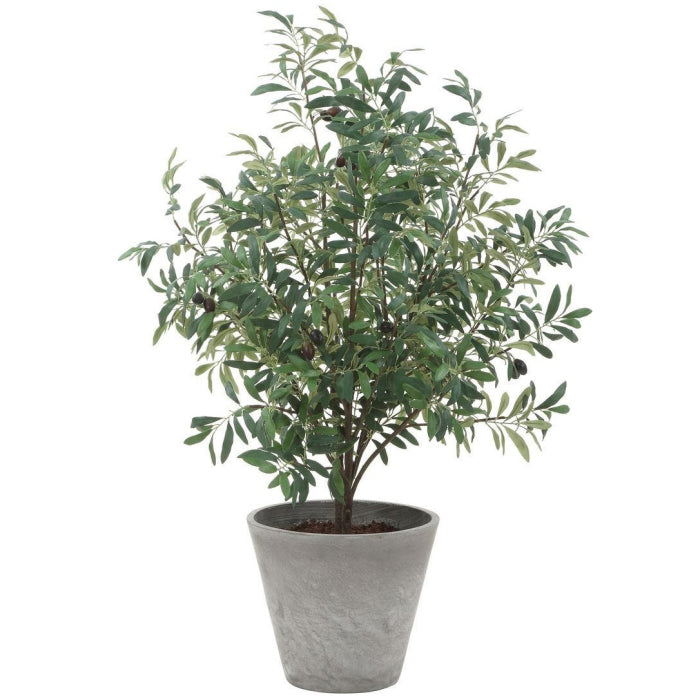 Uttermost Marisol Potted Olive Plant