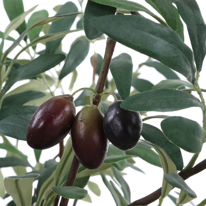 Uttermost Marisol Potted Olive Plant
