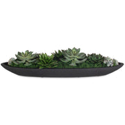 Verde Succulent Centerpiece In Bowl