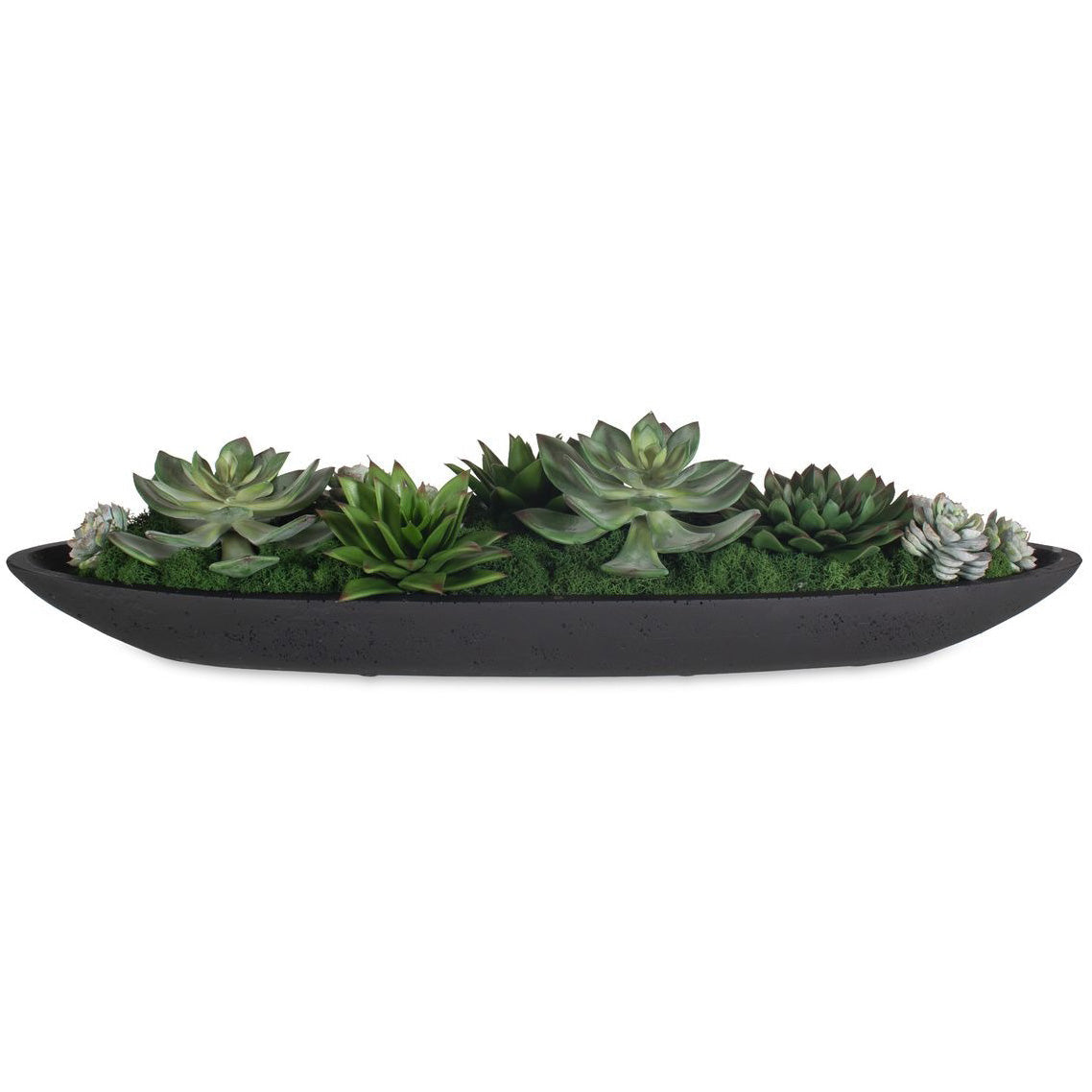 Verde Succulent Centerpiece In Bowl