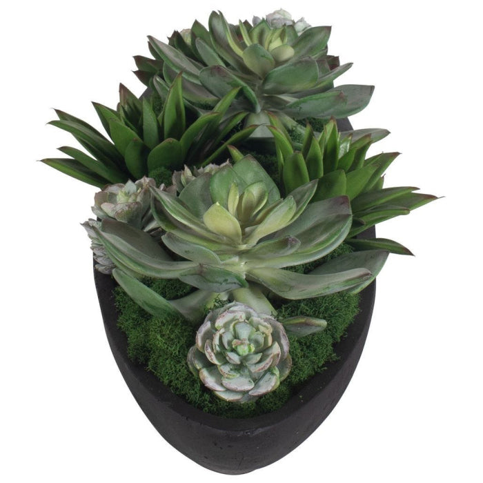 Uttermost Verde Succulent Centerpiece In Bowl