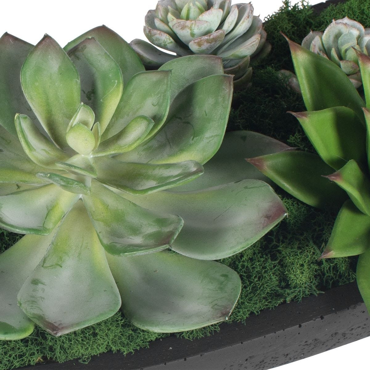 Uttermost Verde Succulent Centerpiece In Bowl