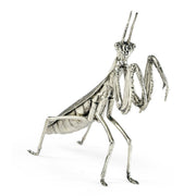 Jonathan Charles White Brass Praying Mantis