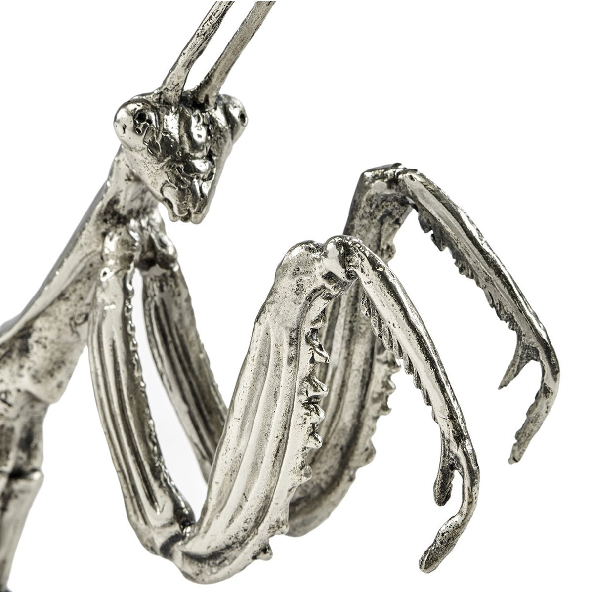 Jonathan Charles White Brass Praying Mantis